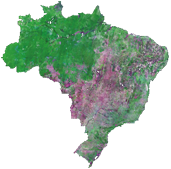 Brasil de cima